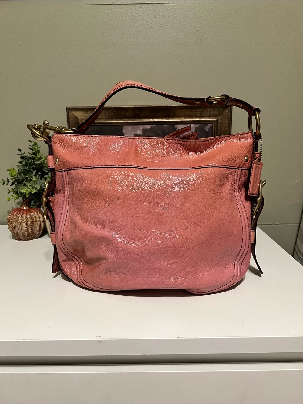 Coach Pink Leather Zoe Shoulder Hobo Bag